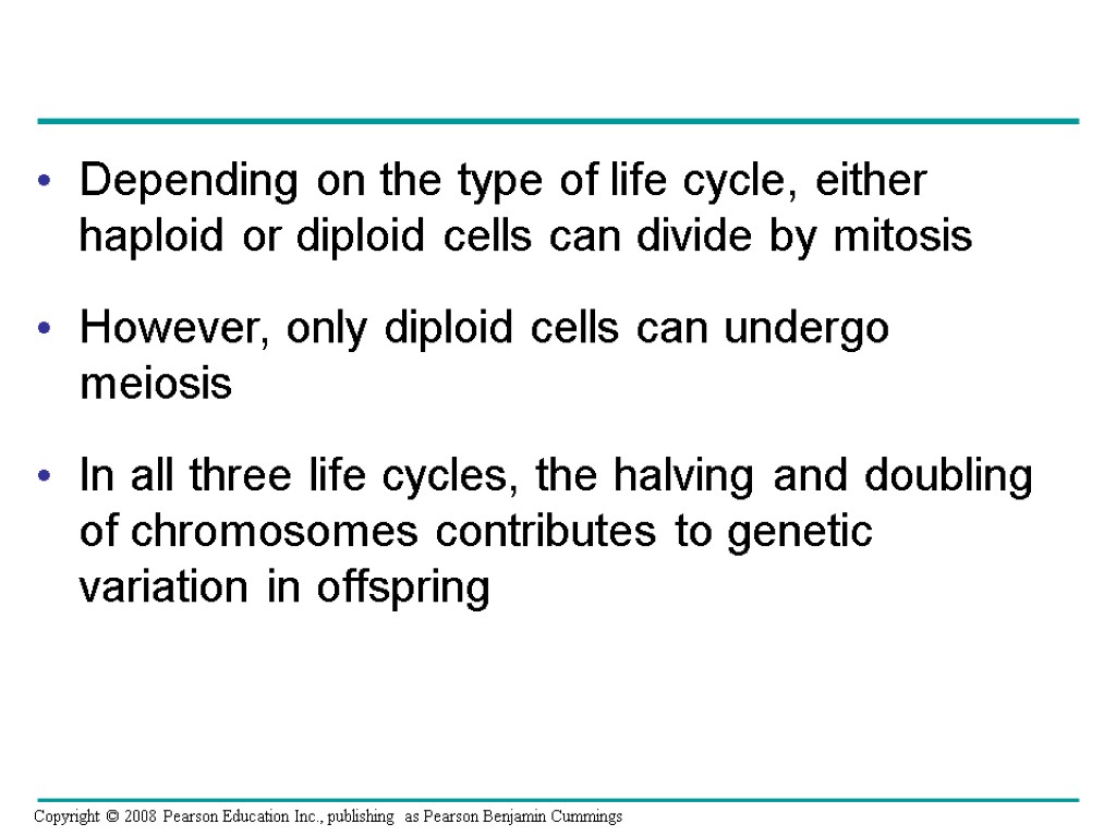Depending on the type of life cycle, either haploid or diploid cells can divide